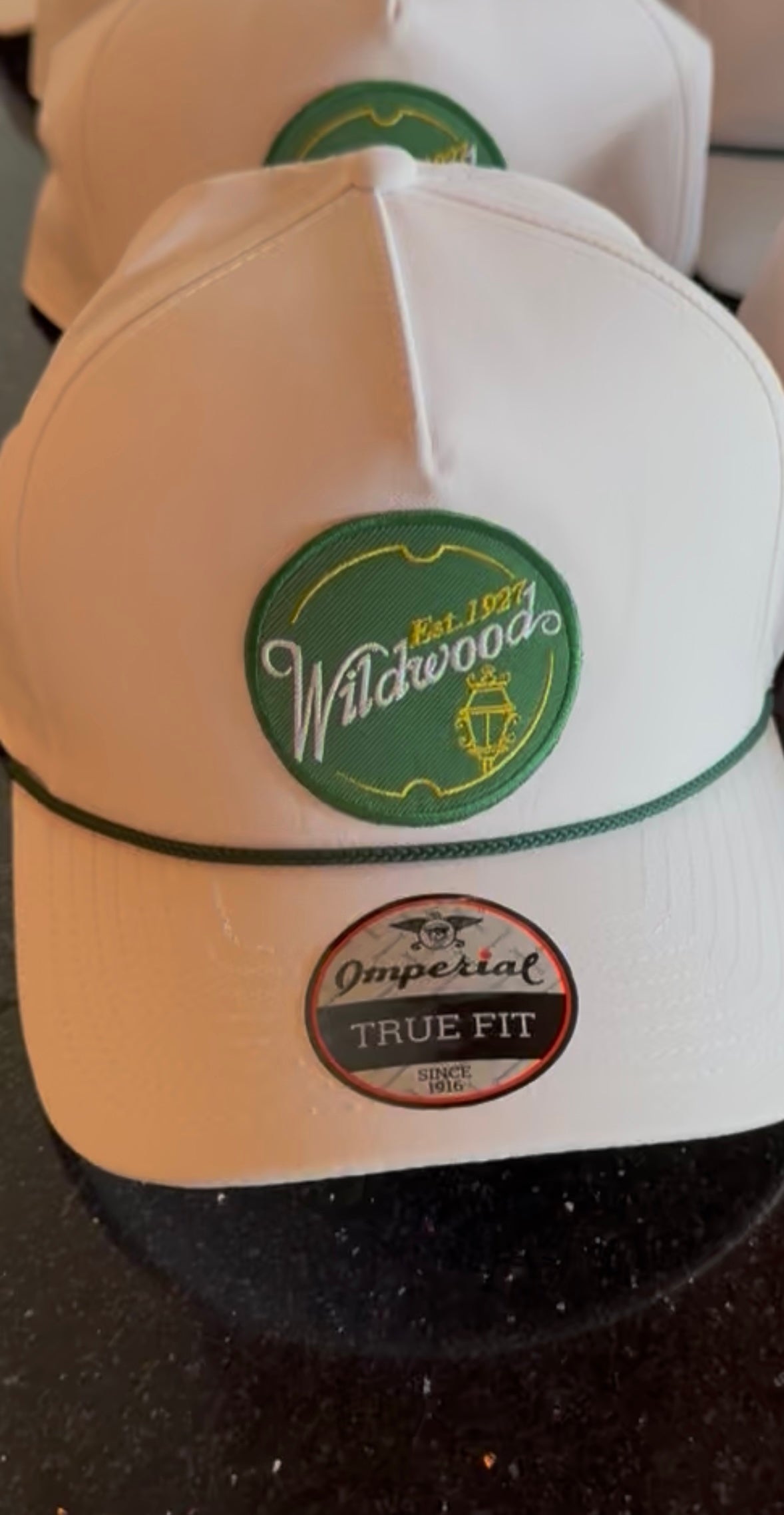 Wildwood Patch Hat