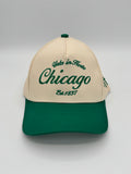 HH Green Chicago- Urbs in Horto hat